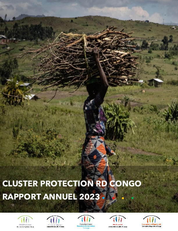 Rapport annuel du Cluster Protection en République Démocratique du ...