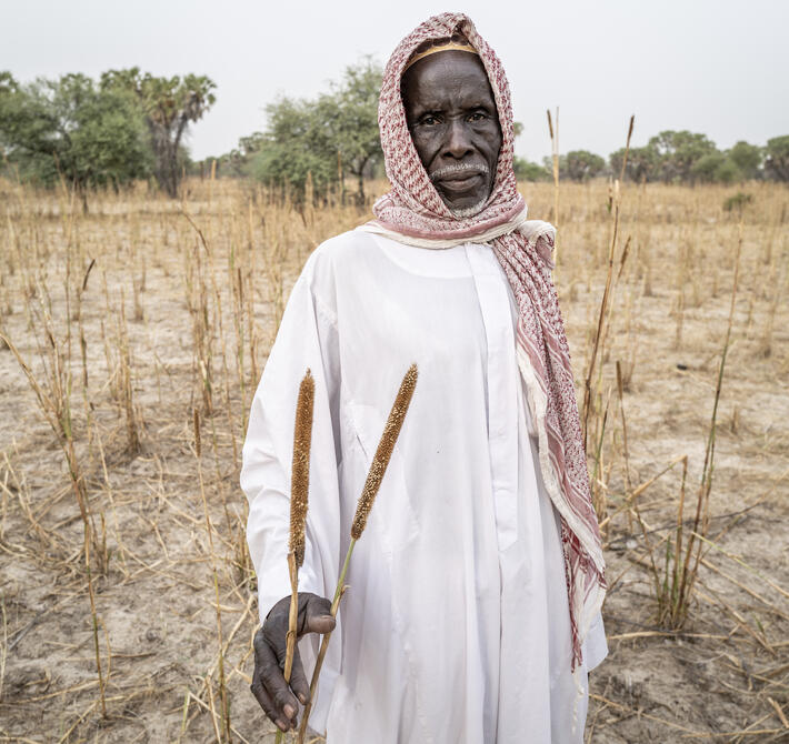 Chad | Global Protection Cluster
