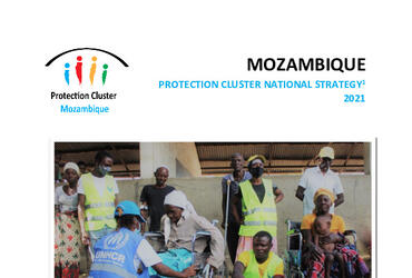 Document - Global Protection Cluster Mozambique Chalane Dec 2020